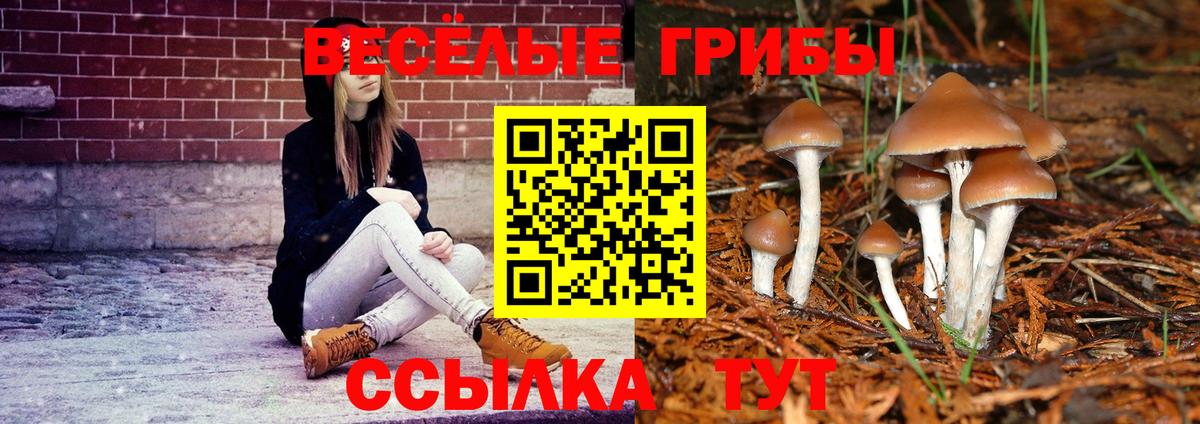Галлюциногенные грибы Magic Shrooms  купить наркотик  Галлюциногенные грибы прущие грибы  Севастополь  Вход с VPN 