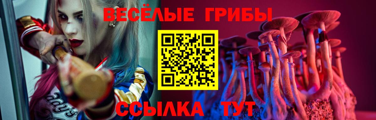 МЕФ Севастополь